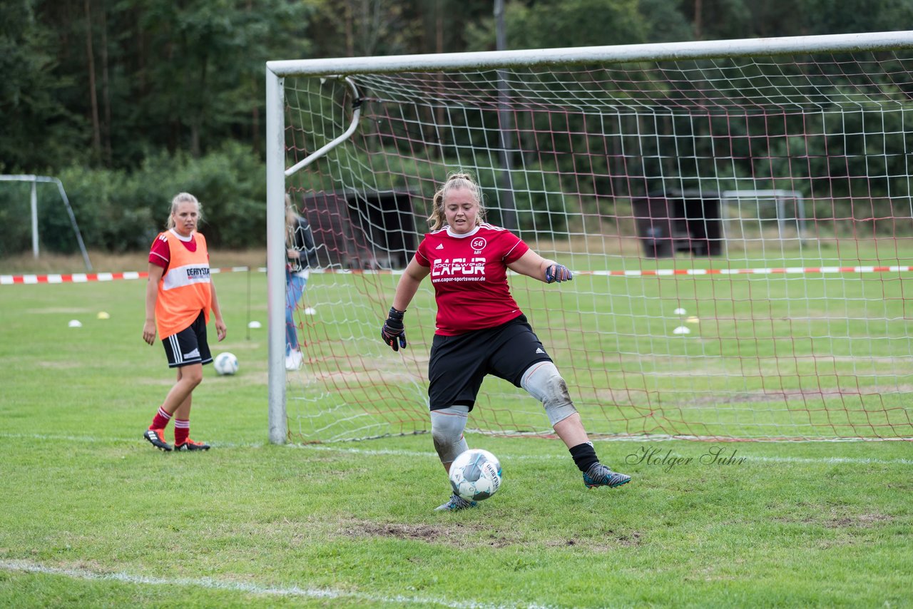 Bild 223 - Frauen SG NieBar - HSV 2 : Ergebnis: 4:3